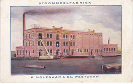 Westzaan Stoommeelfabriek P. Molenaar K1352 - Zaanstreek