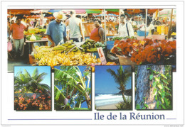 REUNION        LE  CELEBRE  MARCHE  DE  SAINT  PAUL      (EDIT CARLITEX)  CARTE NEUVE - Saint Paul