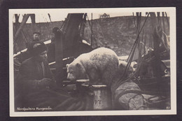 CPA Norvège Norge Type Non Circulé Ours Blanc Bear Nordpolens - Norvège
