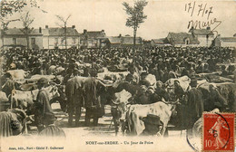 Nort Sur Erdre * Un Jour De Foire * Marché Aux Boeufs Bestiaux - Nort Sur Erdre