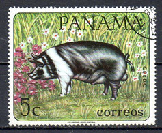 PANAMA. N°451 Oblitéré De 1967. Cochon. - Farm