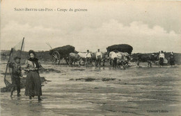 St Brévin Les Pins * Coupe Du Goémon * Attelga Boeufs * Pêche à Pied Haveneau - Saint-Brevin-les-Pins