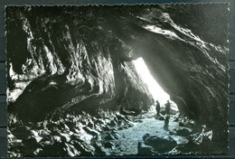 # - PLOGOFF - Baie Des Trépassées - Une Des Grottes Marines (carte Vierge) - Plogoff