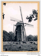 * 1.52 - Bokrijk - Molen - Bree