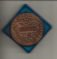 Médaille En Bronze Ministère De L'Agriculture ( Graveur H.Ponscarme ) Envers Vis De 5 M/m Pour Fixation Support - Professionals / Firms