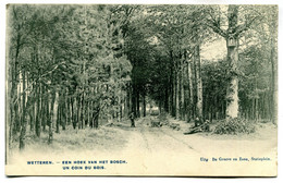 CPA -  Carte Postale - Belgique - Wetteren - Un Coin Du Bois - 1907 (BR14440) - Wetteren