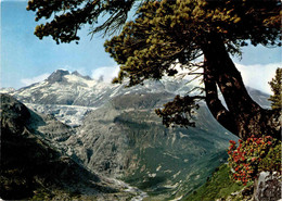 Furkapass Mit Rhonegletscher Und Galenstock (3411) - Lens