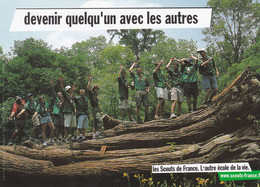 Cpm 10x15. SCOUTISME (Groupe De Scouts Debout Sur Troncs D'arbre ) "Les Scouts De France, L'autre école De La Vie " - Padvinderij