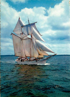 Thème Bateau * La Goélette De La Marine L' ETOILE étoile * Voilier - Sailing Vessels