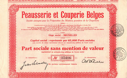 Peausserie Et Couperie Belges - Part Sociale Sans Mention De Valeur - Bruxelles 1928. - Banca & Assicurazione