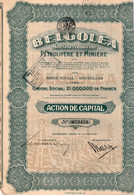 Belgoléa - S.A. Pétrolifère Et Minière - Action De Capital  - Bruxelles 1927. - Oil