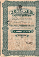 Belgoléa - S.A. Pétrolifère Et Minière - Action De Capital  - Bruxelles 1927. - Petrolio