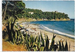 D 83. LE CANADEL.LA PLAGE - Rayol-Canadel-sur-Mer