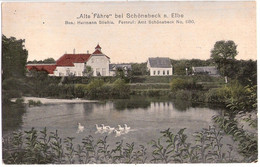 SCHÖNEBECK Elbe Alte Fähre Nahebei Gänse Auf Dem Wasser Bes Hermann Stiehle Color 8.5.1918 Gelaufen - Schoenebeck (Elbe)