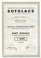 Société Foncière Des Grands Lacs Africains - Part Sociale - Kindu 1961. - Africa