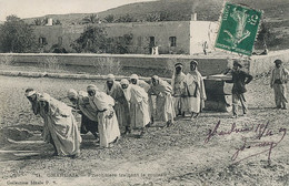 Prisonniers à Ghardia Faisant Une Route . Convicts . Slavery. Esclavage . - Prison