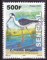 Timbre Oblitéré N° 1830(Yvert) Sénégal 2011 - Oiseau, échasse Blanche, Voir Description - Senegal (1960-...)