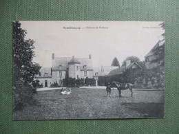 37 SEMBLANCAY CHATEAU DE DULBEAU  ANIMEE CHEVAL - Semblançay