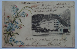 Delcampe - Switzerland 42 Grimsel Hospiz 1902 Hotel Chariot Carriage Horses Mountains - Altri & Non Classificati