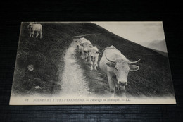 19358-                           SCENES ET TYPES PYRENEENS, PATURAGE EN MONTAGNE - Vaches