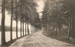 Oud - Heverlée / Vieux - Héverlé : Eaux Douces ---- Etangs Et Drêve Vers Blanden 1913 - Oud-Heverlee