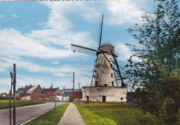 Zwevegem, Stenen Molen, Moulin, WIndmill (pk71511) - Zwevegem