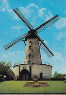 Zwevegem, STenen Molen,  Moulin, Windmill (pk71533) - Zwevegem