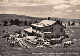 Chalet Restaurant De La Dent De Vaulion Et Le Mt Tendre - Troupeau - Oldtimer ( 10 X 15 Cm) - - Vaulion