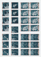 Albert Schweitzer Imperf Set Of 6 (Mi 801-806B) Each In Complete Sheets Of 8 U/M - Albert Schweitzer