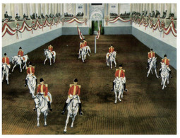 (U 8) Austria - Vienna - Spanish Court Riding School (horses) - Ecoles