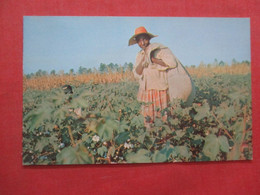 Black Americana   Cotton Picking Time Southern Georgia       Ref 4455 - Negro Americana