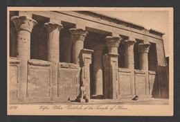 Egypt - RARE - Old Post Card - Edfou Pillar - Covers & Documents