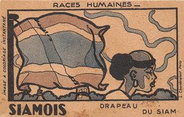 SIAM - Carte Publicitaire De La Bouillie " PHOSPHATINE " - Image à Coloriage - SIAMOIS - Drapeau - Races Humaines - Thaïlande