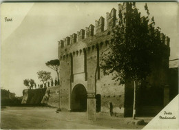 FANO - PORTA MEDIOEVALE - EDIZIONE ALCEO CASANOVA - 1940s (6678) - Fano