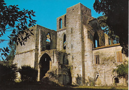 St Martin Le Vieil - Abbaye Ste Marie De Villelongue : église Abbatiale (XIIe Et XIIIe Siècles) - Sonstige & Ohne Zuordnung