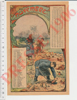 Gravure Intuitive 1906 Mois De Novembre Récolte De Betteraves Agriculture Outil Bêche Femme Travail Agricole 237CH18 - Ohne Zuordnung