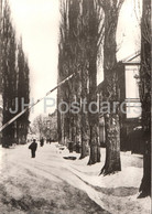 Greiz - Carolinenstrasse 1863 - Ernst Thalmann Strasse - Historische Fotografien - DDR Germany - Unused - Greiz