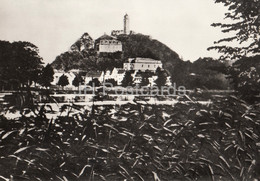 Greiz - Binsenteich 1867 - Parksee Im Leninpark - Historische Fotografien - DDR Germany - Unused - Greiz