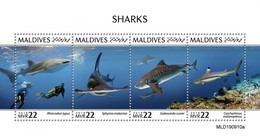 Maldives 2020, Animals, Sharks, Diving, 4val In BF - Duiken