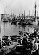 Concarneau * Le Port - Concarneau