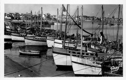 Quiberon * Port Maria * Bateaux à Quai - Quiberon