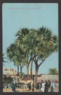 Egypt - RARE - Old Post Card - Doumtree, Egypt - Brieven En Documenten