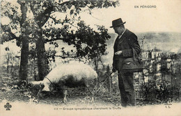 Périgueux * Groupe Sympatique Cherchant La Truffe - Périgueux