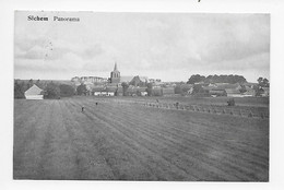 Zichem Sichem   Panorama 1913 - Scherpenheuvel-Zichem