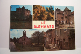 LE BLEYMARD     - MULTIVUES   -  ( Pas De Reflet Sur L'original ) - Le Bleymard