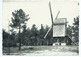 Kasterlee Molen ( Gelopen Kaart ) - Kasterlee