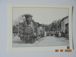 Parc Naturel Regional Des Landes De Gascogne. Ecomusee De La Grande Lande. La Gare De Sabres Vers 1900. - Sabres