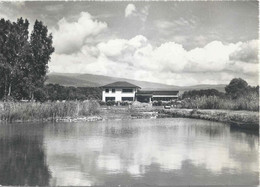 Thielle - Die Neue Zeit, Heim Und Gelände Am Neuenburgersee              Ca. 1960 - Thielle