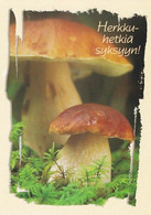 Mushroom - Champignon - Paddestoel - Pilz - Fungo - Cogumelo - Seta - Herkkutatti - Mushrooms