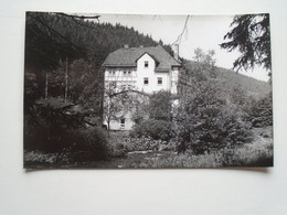 D175328 Leutenberg / Thür.  FOTO FÖRTSCH - Leutenberg